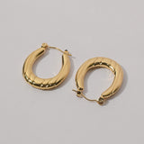 Regal Shine Golden Earrings