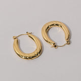 Regal Shine Golden Earrings