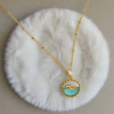 Dolphin Oasis Pendant Neckless